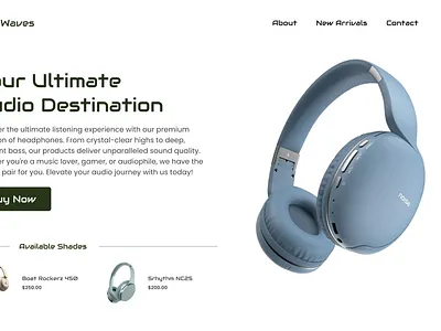 EchoWaves Web UI Landing Page Design design figma ui visual design