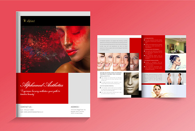 Client Work For Brochure stylish