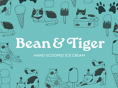 Bean & Tiger Visual Identity branding design graphic design illustration logo typography vector web