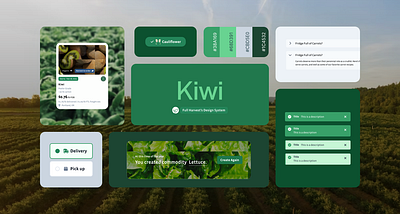 Full Harvest Design System design system market place ui