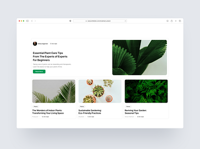 Sleek & Simple: Your Guide to Plant Care Blog UI Design blogs branding design figma illustration minimal modern ui
