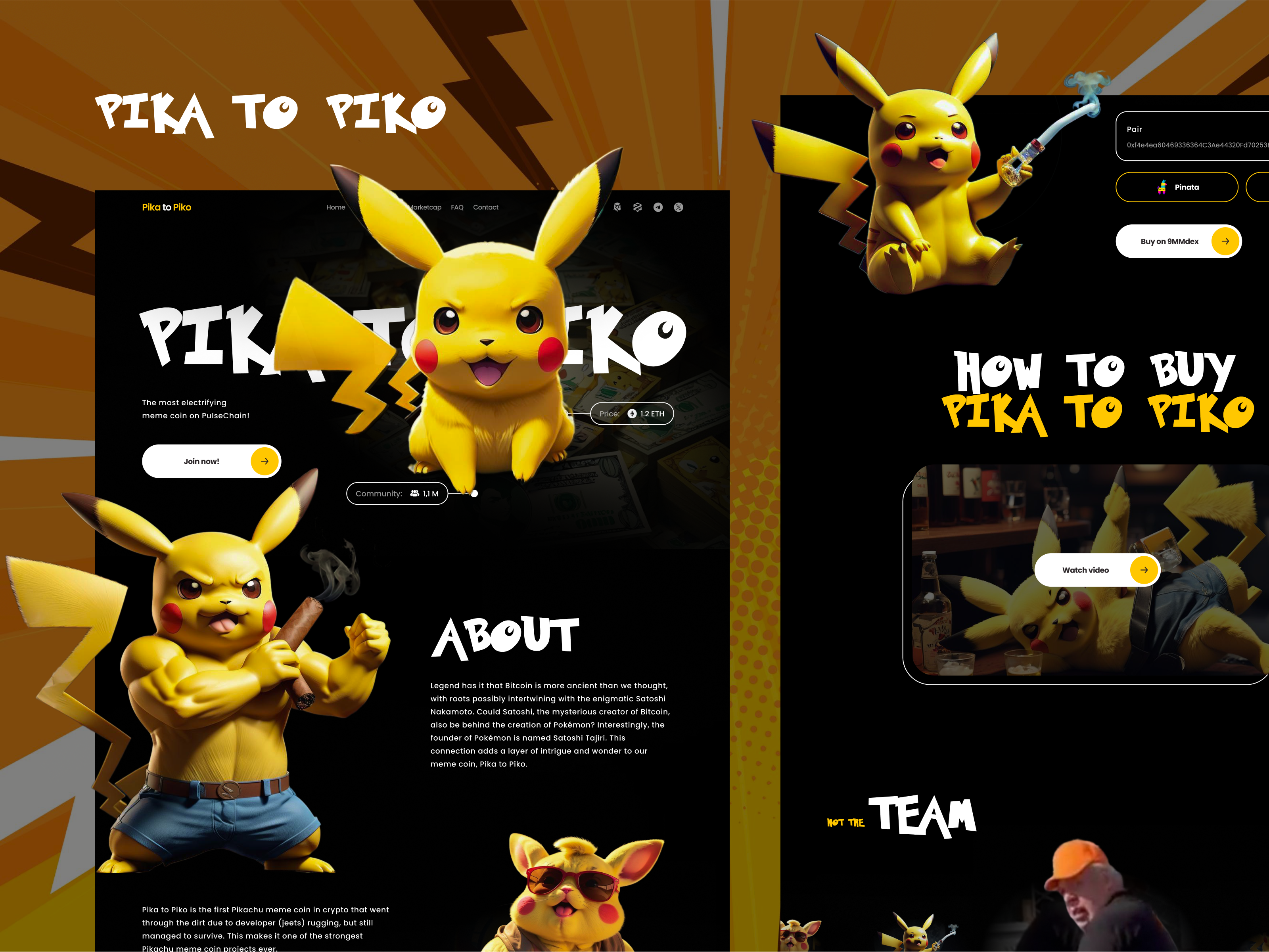 Pokemon Themed Meme Coin Landing Page by vino_costa for Roobinium on  Dribbble