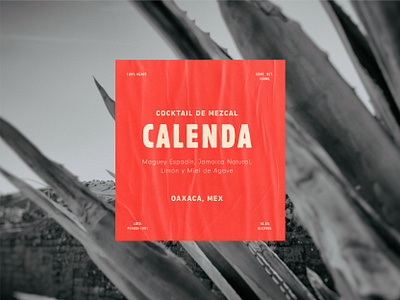 Calenda Mezcal Cocktail Brand Exploration branding graphic design logo mezcal orange