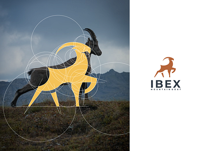 Ibex Mountain Goat Logo branding design graphic design icon illustration logo logo design logotype vector