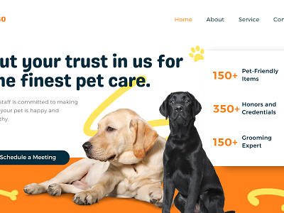 Pet Care Landing Page ui