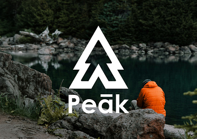 Peākbound - Brand Identity adobe brand brand design brand identity brand mark branding design graphic graphic design identity illutration logo logomark logotype nature outdoor travel visual visual design visual identity