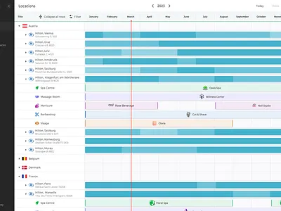 Complex Gantt Widget for Salon Management Software booking design front end development gantt gantt chart hire developers outsourcing software development staff augmentation ui web development webix