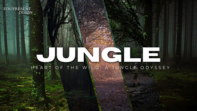 JUNGLE graphic design