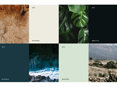 Deep Natural Color Palette - Ease Chiropractic beach color palette deep blue deep neutral deep teal ease green blue light green mood board nature ocean tan wood tone