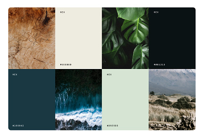 Deep Natural Color Palette - Ease Chiropractic beach color palette deep blue deep neutral deep teal ease green blue light green mood board nature ocean tan wood tone