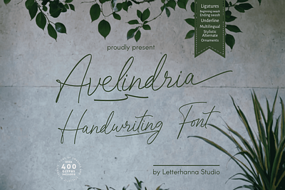 Avelindria Font branding design font handwritten logo script font typeface