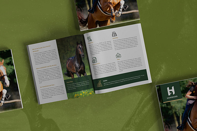 Horse Training Brochure brochure brochure design company profile corporate horse horse magazine horse training brochure illustration magazine minimal moderin brochure design