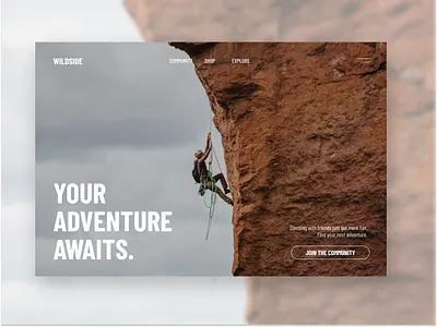 Wildside | Website Design design ui user experience user interface ux website website design