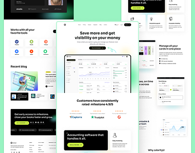 Saas Website UI Design bitcoin digitalpayment easilypayment figmadesign figmaui landingpage onlinebusiness paymentgatewayintegration saasproject ui uiux webapp webui