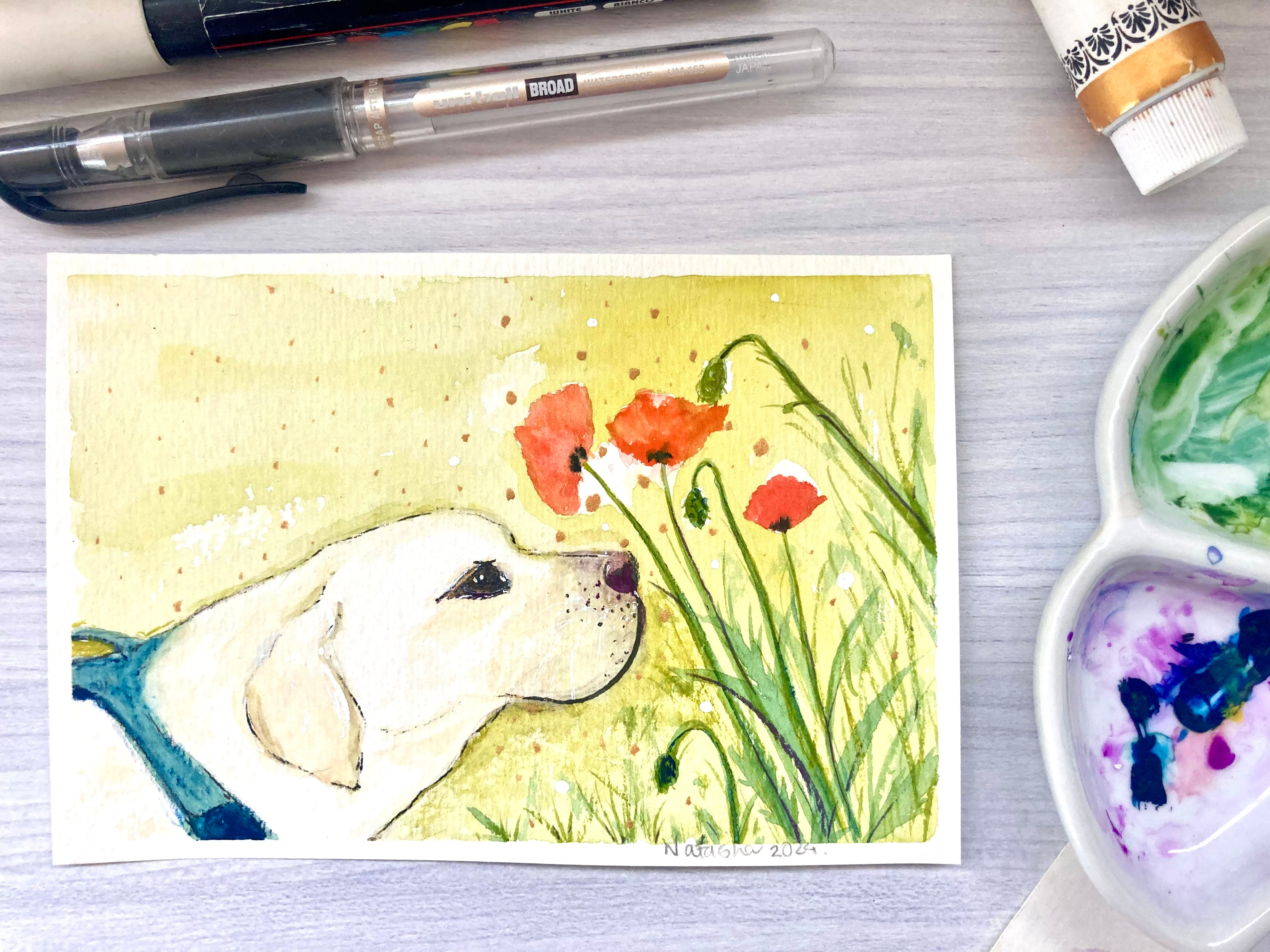 Coquelicot 🌷 - L'alphabet de mon jardin 2024 art comic style contemplation coquelicot coquelicots cute dog flowers garden gouache green illustration labrador retriever natasha gonzalez nature poetic poppy poppy flower postcard traditional art