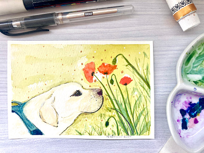 Coquelicot 🌷 - L'alphabet de mon jardin 2024 art comic style contemplation coquelicot coquelicots cute dog flowers garden gouache green illustration labrador retriever natasha gonzalez nature poetic poppy poppy flower postcard traditional art