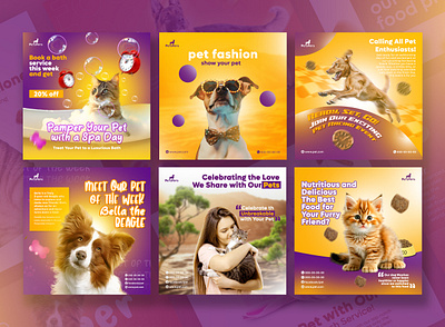 Pet animal social media post design promotion