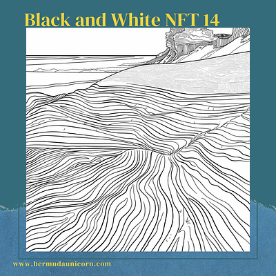 Black and White NFT 14