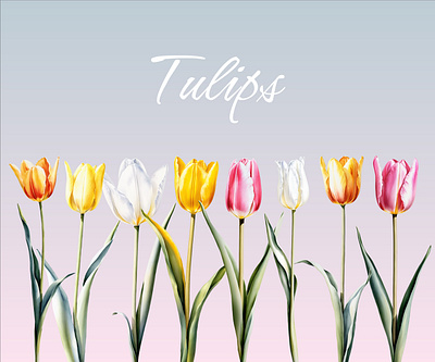 Tulips Digital Watercolor Illustrations