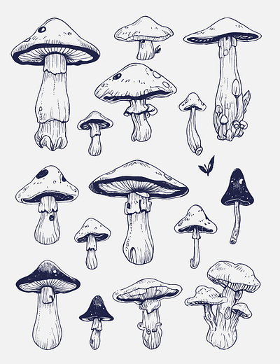 Mushrooms Illustrations