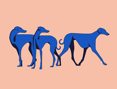 Wooth are you going! animal illustration blue dog clear line dog animation dogs editorial drawing editorial illustration greyhound haracter design minimalist modern pop color pop illustration