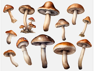 Mushrooms Digital Watercolor Illustrations