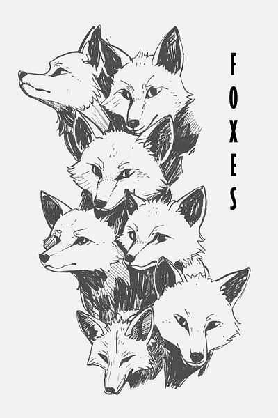 Foxes Study Sketches