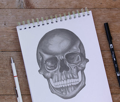 Skull Sketch black and white illustration shading sketch skull