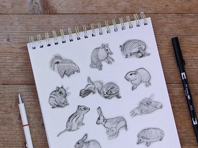 Small Animals Sketch animals armadillo beaver bunny chipmunk hedgehog illustration mink mole rabbit sketch skunk squirrel