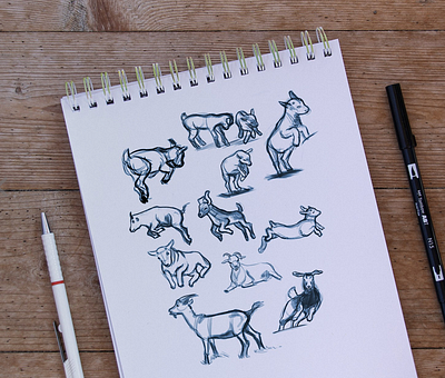 Goat Sketches digital art goats illustration sketch