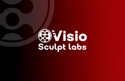 VisioSculpt Labs bran brandidentity branding design graphic design illustration logo styleguide typography ui