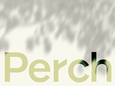Perch | Brand brand branding design identity illustration logo people typography ui web