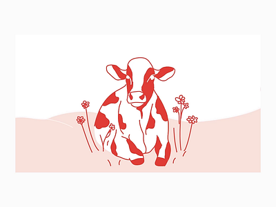 The Dairy Farm - Brand Animation cow draw farm illustrator milk organic milk