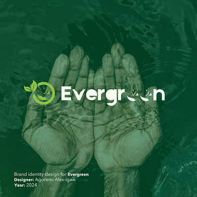 Brand identity design for a Health & Wellness brand - Evergreen branding graphic design logo