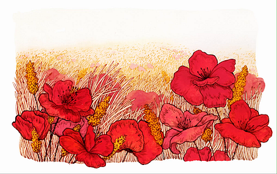 Poppy Field, Henrike Lendowski animated animation conceptual illustration design editorial illustration environmental flowers frame by frame illustration illustrationart illustrationartist illustrationzone illustrator ink ink and watercolor nature poppies poppy field red flowers watercolor