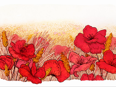 Poppy Field, Henrike Lendowski animated animation conceptual illustration design editorial illustration environmental flowers frame by frame illustration illustrationart illustrationartist illustrationzone illustrator ink ink and watercolor nature poppies poppy field red flowers watercolor