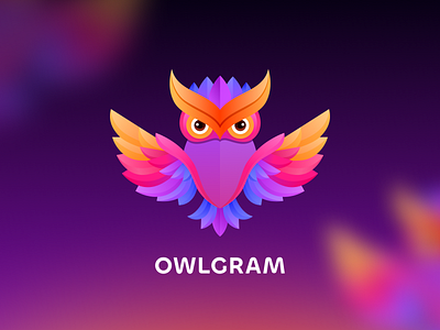 Owl Logo bird brand branding colorful creative creativedreams design design agency design studio graphic design illustration logo logo mark mark minimal owl owl brand owl logo owl mark owlgram