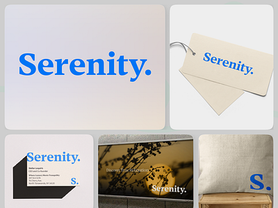 Serenity | Brand Guidelines & Identity app brand brand guidelines branding branding identity business cards design graphic design identity illustration logo logo design mockups ui vector