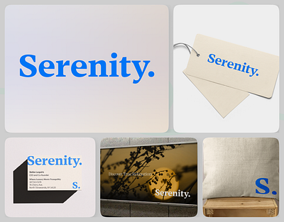 Serenity | Brand Guidelines & Identity app brand brand guidelines branding branding identity business cards design graphic design identity illustration logo logo design mockups ui vector