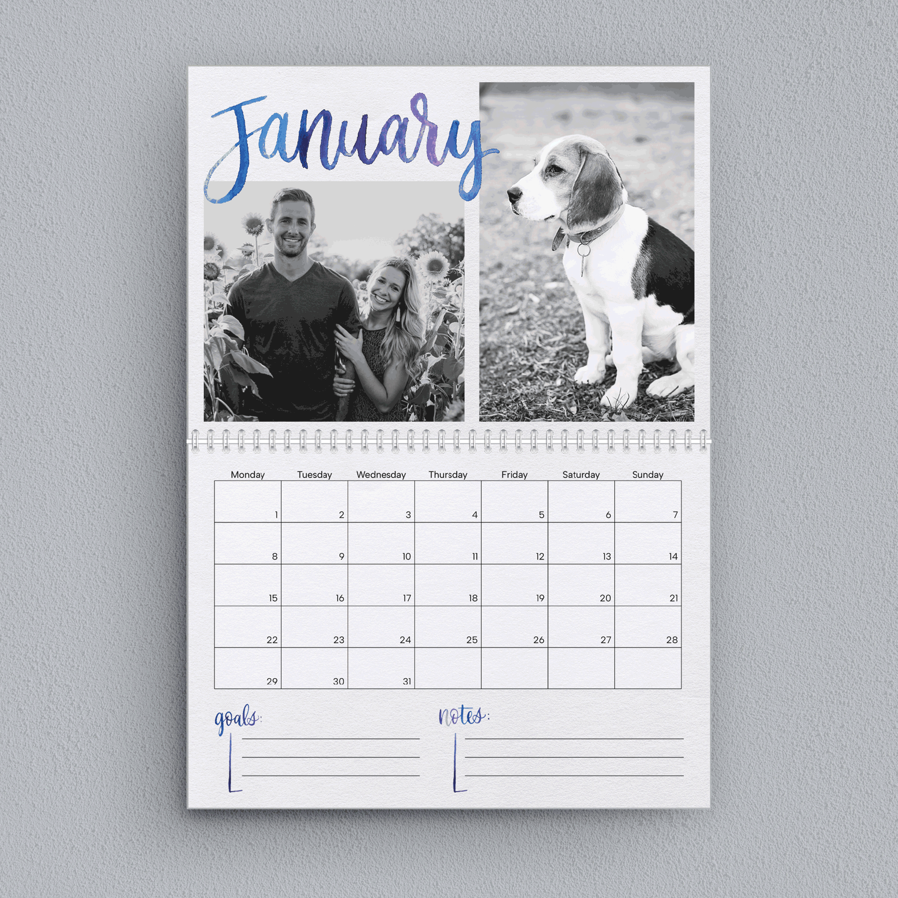 Calendar / Watercolor Script - Color calendar color graphic design script watercolor