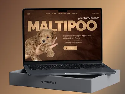 First screen of a website for selling Maltipoo puppies animation first screen ui