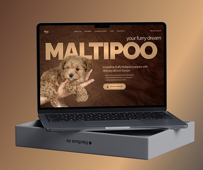 First screen of a website for selling Maltipoo puppies animation first screen ui