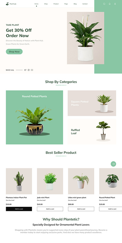 Plant Shop Website design ui ux design web design