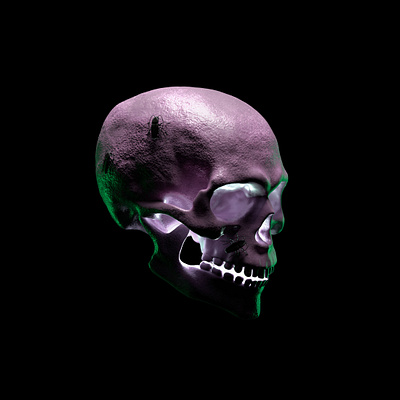 Skull 3D 3d arnold render cinema 4d