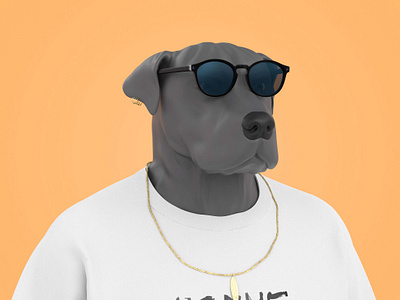 Duke the Dogg 3D NFT Collection 3d arnold render cinema 4d