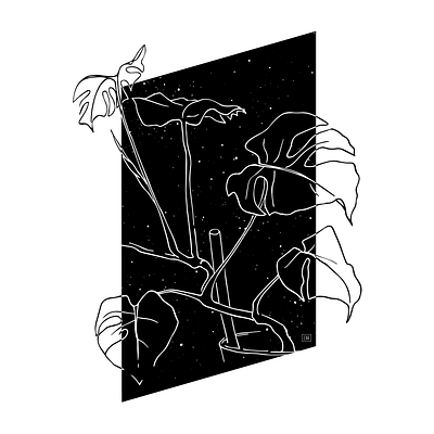 Plant space 2d animation black and white connect contrast design floral geometric growth hand drawn illustration organic patience plant portal process space stars universe window