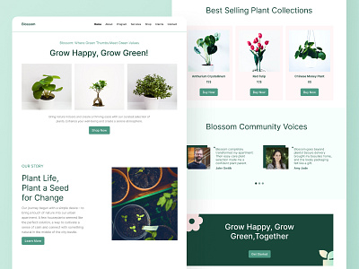 Blossom: Plant Shop Website Design design e commerce figma green plants ui ui ux ux web design