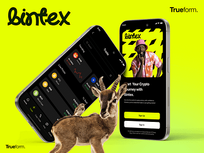 Bintex App animation app asset bitcoim coin crypto cryptocurrency digital ether ethereum finance fintech management security ui ux wallet web web3 webdesign