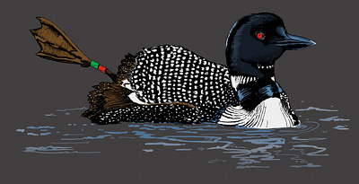 Loon duck illustration loon nature outdoors photoshop