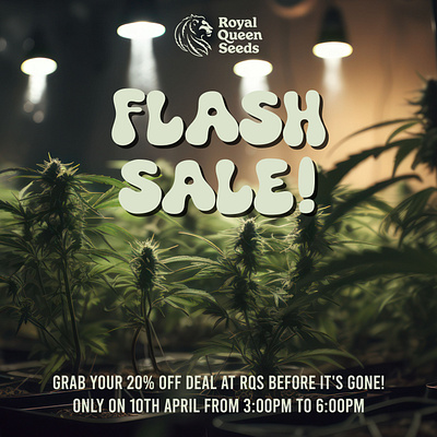 Flash Sale